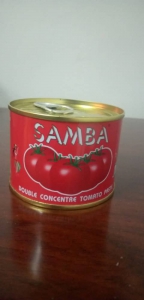 DOUBLE CONCENTRE TOMATE SAMBA 210G