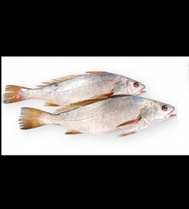 Poisson Bar rosada - 1kg