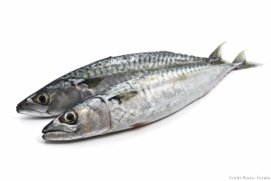 Poisson moyen maquereaux - 1kg