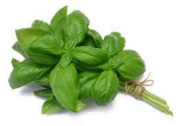 Basilic – Bouquet