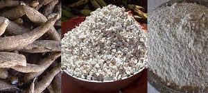 Couscous manioc Non écrasé – 1 seau 5 L