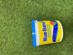 [STLALTGE-CETBUT-0017] Beurre de table Blue Band - 900g