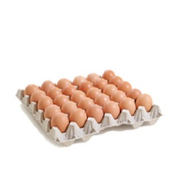 [STLALTGE-DEJEGG-0003] Alveole 30 Oeufs frais