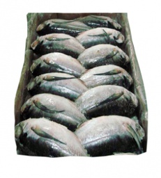 [STLALTGE-VIPFIS-0014] palette de poisson Maquereau- 20kg