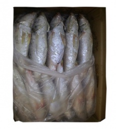 [STLALTGE-VIPFIS-0015] Pallette poisson Bar calada 20kg