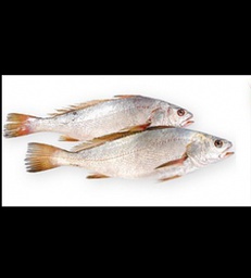 [STLALTGE-VIPFIS-0018] Poisson Bar rosada - 1kg