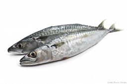 [STLALTGE-VIPFIS-0026] Poisson moyen maquereaux - 1kg