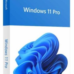 [ITKINFSOF-2110210104] Logiciel Microsoft Windows 11 Pro French STK + CD[W11stk+cd]
