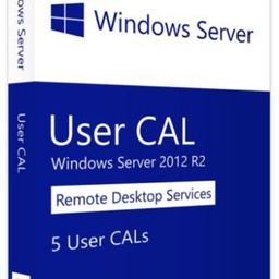 [ITKINFSOF-2110110018] Logiciel Windows Server CAL 2012 French[R18-03666]